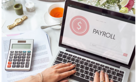 Top 5 Payroll Software in India |Youngwayproduction